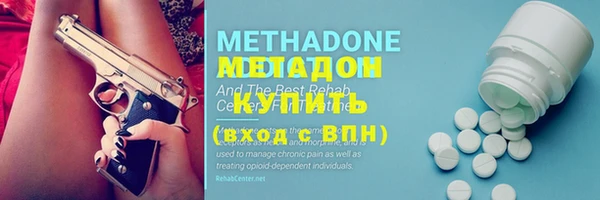 индика Аркадак