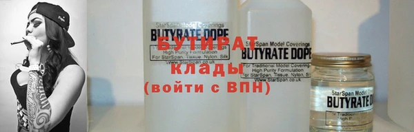 индика Аркадак