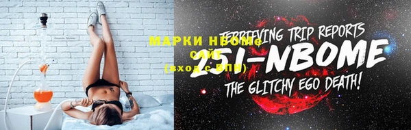 индика Аркадак