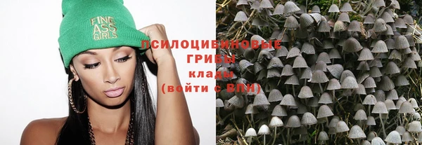 индика Аркадак