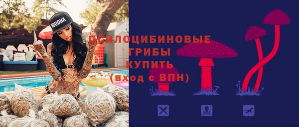 гашик Армянск