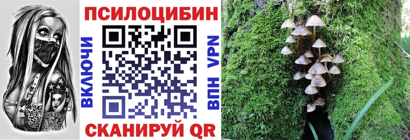 Псилоцибиновые грибы мицелий Лагань