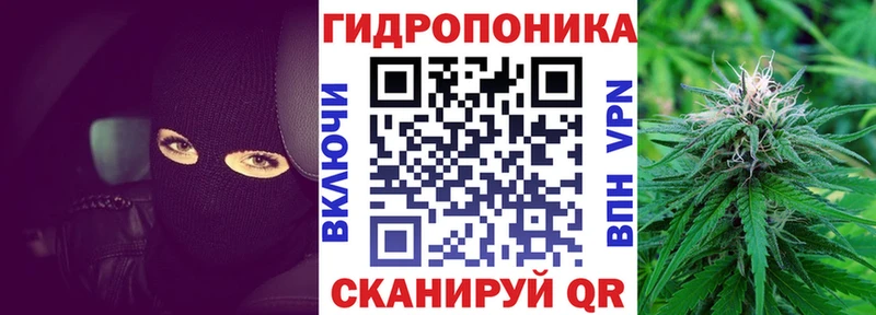 Конопля гибрид  omg tor  Лагань 